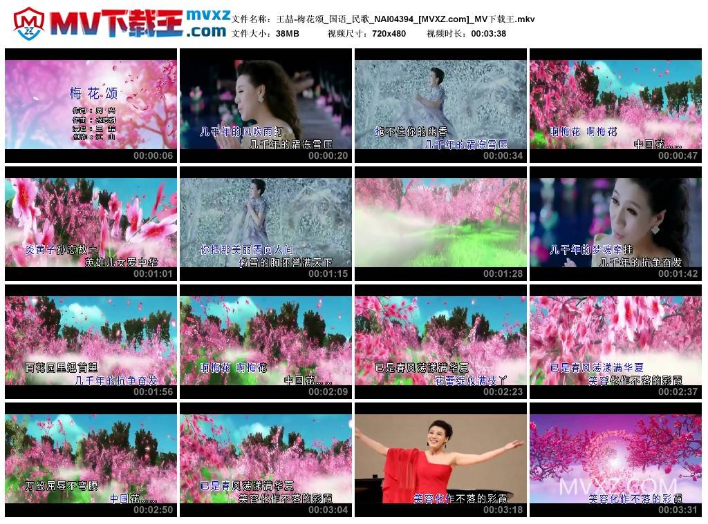 王喆-梅花颂_国语_民歌_NAI04394